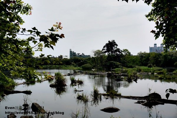 羅東林場08-20150327.JPG