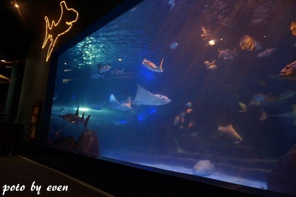 海洋公園117-20150614