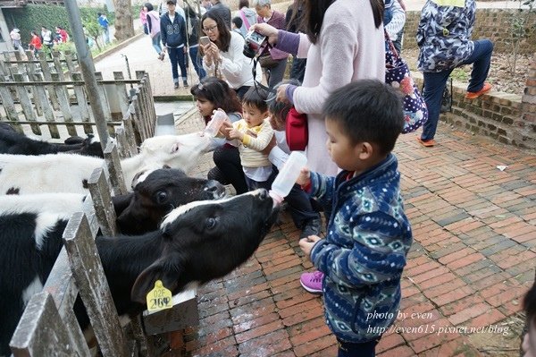 石蓮園011-20160404.JPG