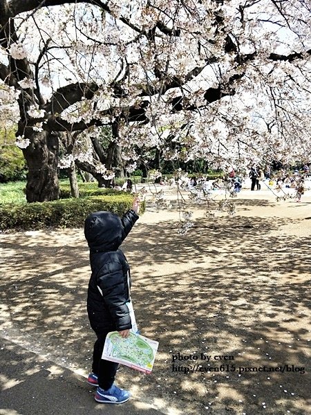 20190331日本之旅008-20190403.jpg