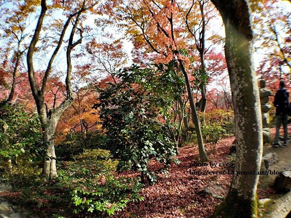 常寂光寺