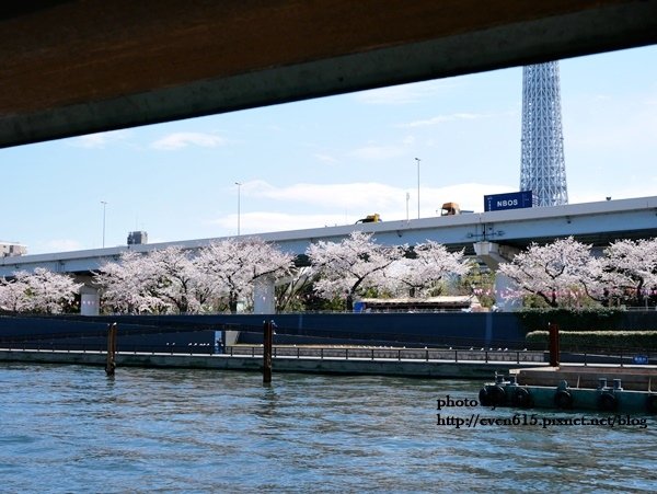 20190331日本之旅437-20190331.JPG