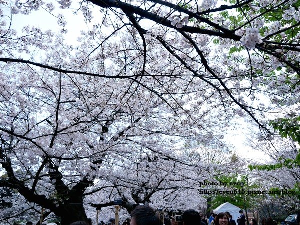 20190331日本之旅580-20190401.JPG
