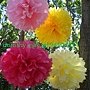 0020-10-Hanging-Tissue-Poms-Plus-7-Free-Flowers-ANY-COLORS-Birthday-Party-and-Baby-Shower-Decorations-1.jpg