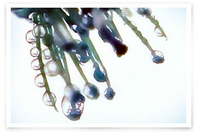 20100315043233589.jpg