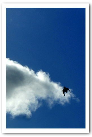 20100902011222065.jpg