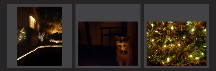 20071221042608973.jpg