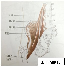 衛教文章圖案