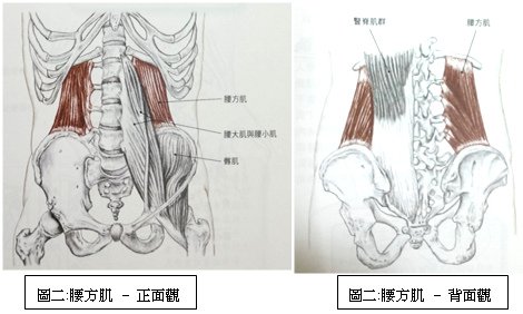 下背痛之滾筒運動