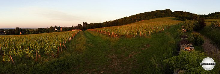 Givry land