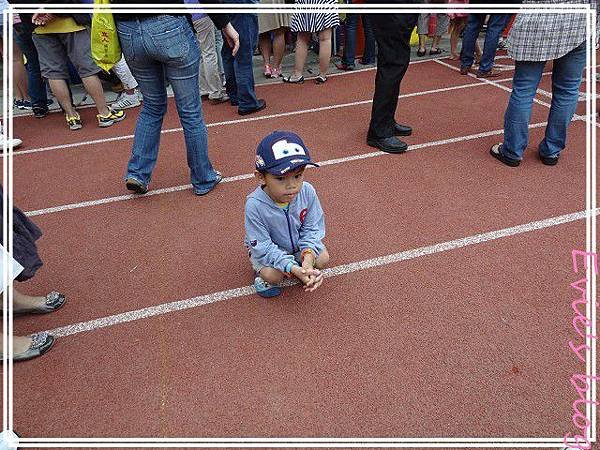 PhotoCap_014.jpg