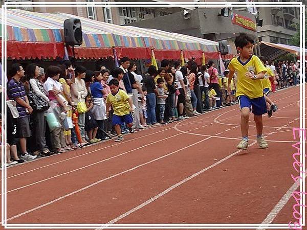 PhotoCap_023.jpg
