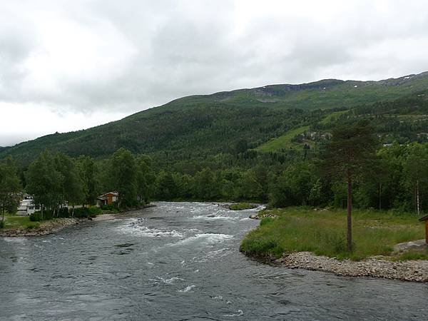 P1100528.JPG