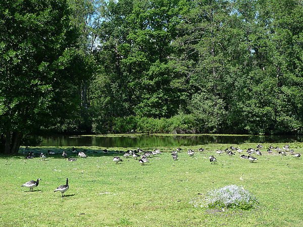 P1090741.JPG