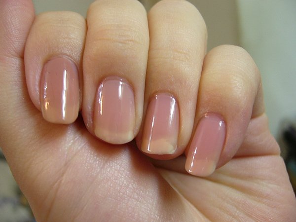 1 coat.JPG