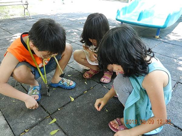 DSCN1748