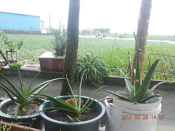 DSCN2797