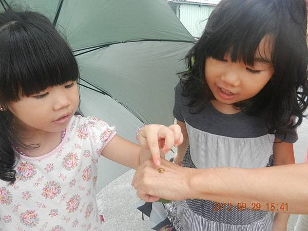 DSCN2842