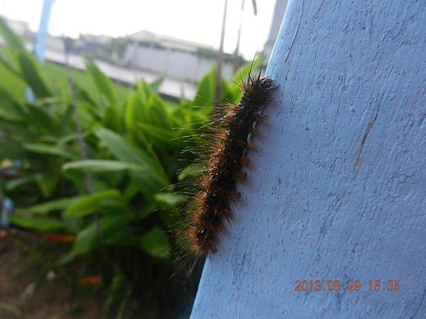 DSCN2826