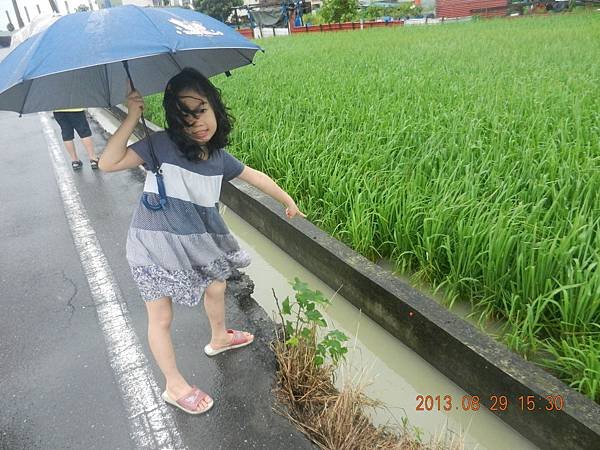 DSCN2813