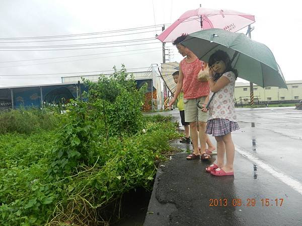 DSCN2807