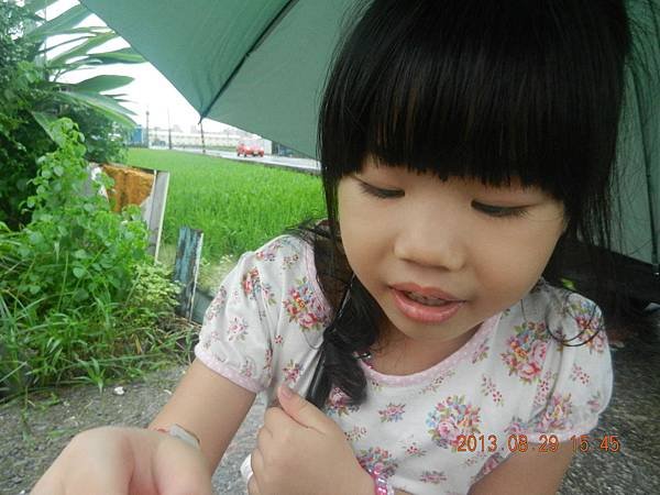DSCN2850