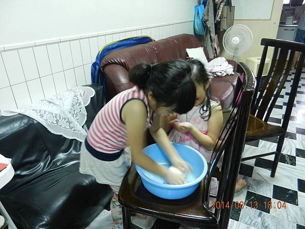DSCN6390