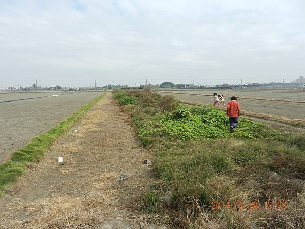 DSCN9952