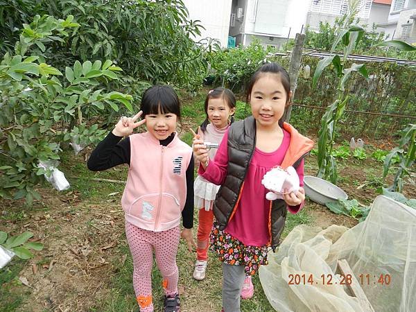 DSCN9940
