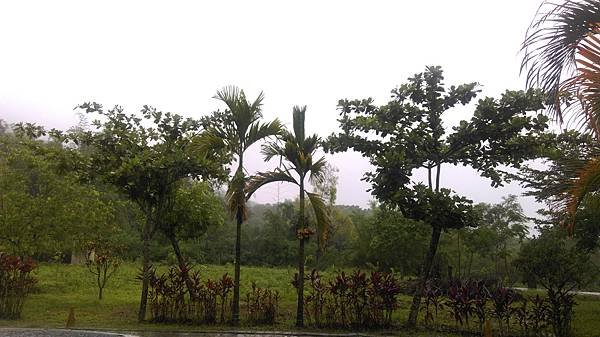 IMAG0603