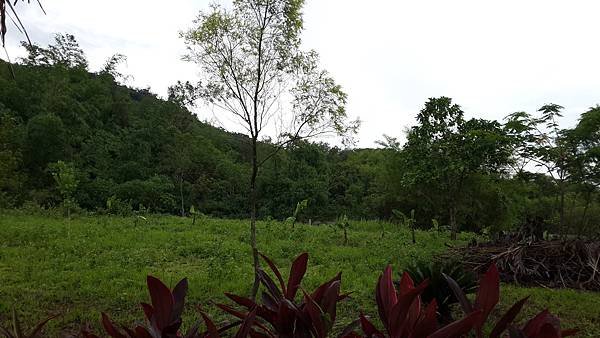 20150531_153419