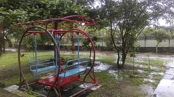 IMAG0604
