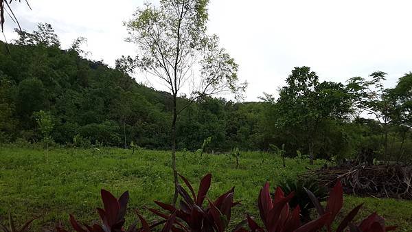 20150531_153419