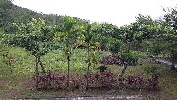 20150531_154056