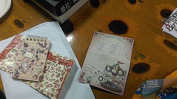 IMAG3313
