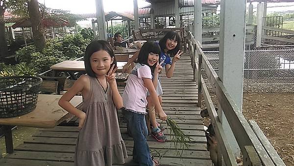 IMAG4329