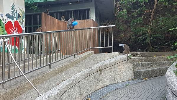 20161112_152825.jpg