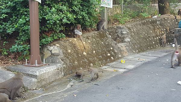 20161112_152808.jpg