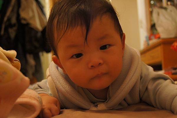 DSC00873.JPG