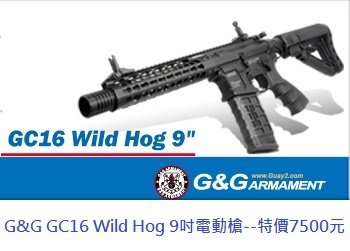 G&amp;G GC16 Wild Hog 9吋電動槍