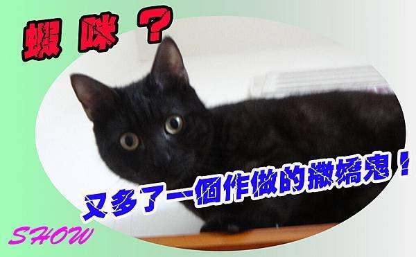 嗨啾的心情.jpg