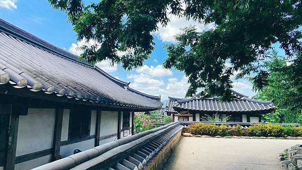 韓國釜山大邱慶洲海雲台全攻略l累了嗎？l當你開始厭世行動力降
