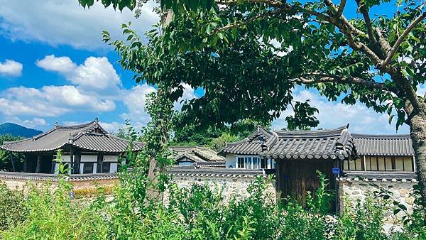 韓國釜山大邱慶洲海雲台全攻略l累了嗎？l當你開始厭世行動力降