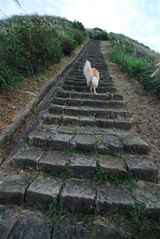 081123九份登山步道基隆山(麗)