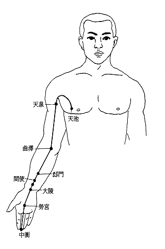 天泉穴.gif