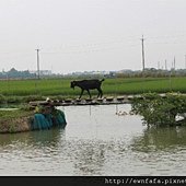 IMG_8482