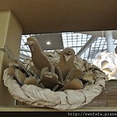 DSC_3352.JPG