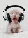156345.gif