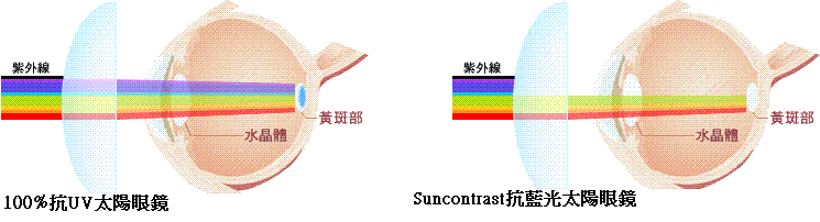 太陽眼鏡比較圖