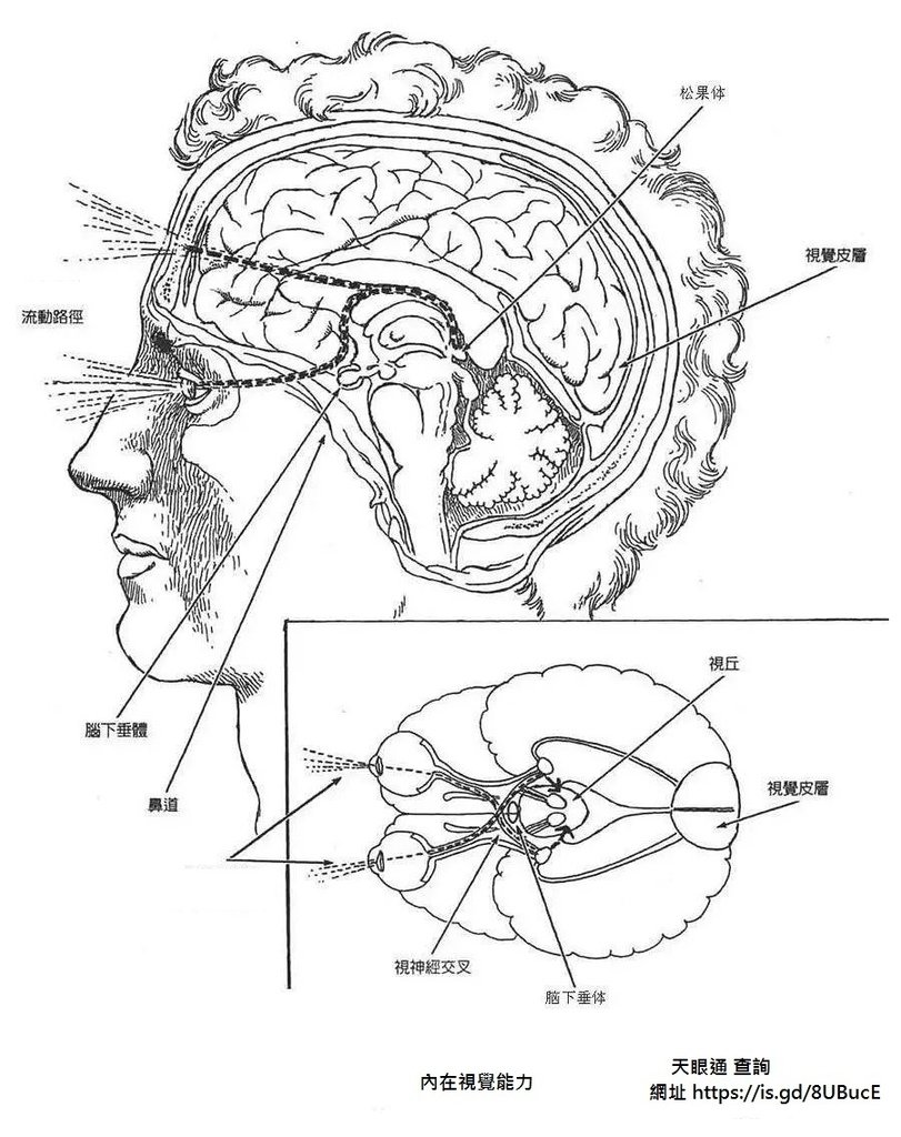 第三眼 打開的八個徵兆 你有幾個?_白星奇